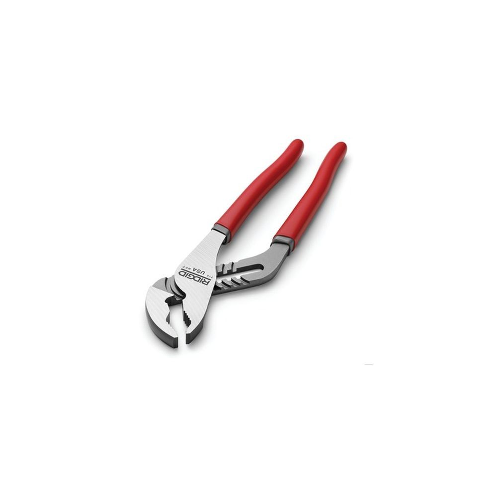 Cleste papagal Ridgid 2