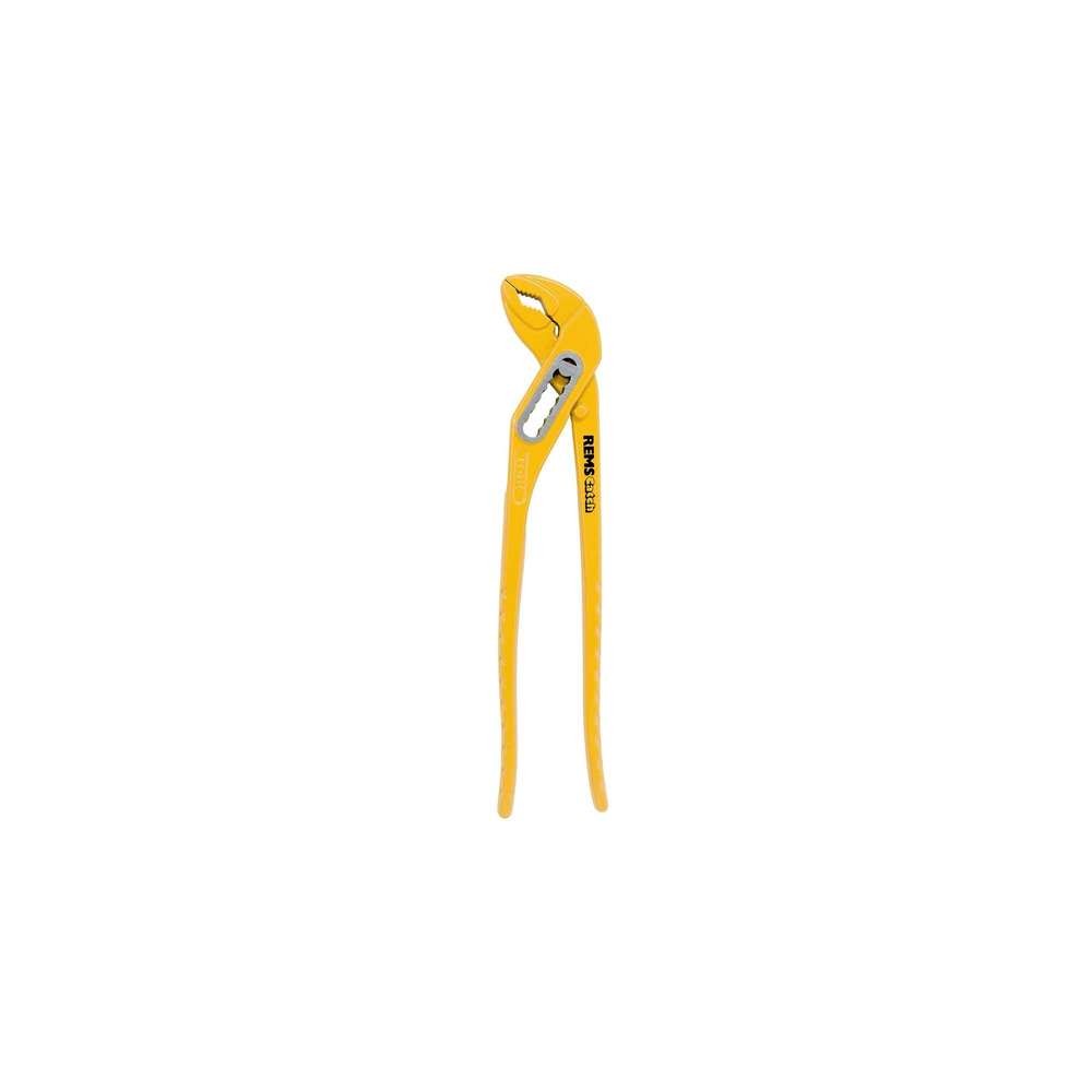 Cleste papagal Rems W175 1