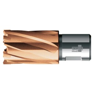 BDS - Carota HKK-PLUS, prindere Weldon, 41mm, adancime 30mm [HKK-P041]