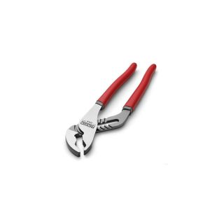 Cleste papagal Ridgid 2" maner acoperit