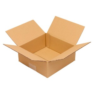 No Name - Cutie carton ondulat, 1 strat, VE50, 210x180x120mm [4053569135221]
