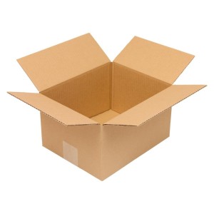 No Name - Cutie carton ondulat, 1 strat, VE50, 250x200x140mm [4053569135283]