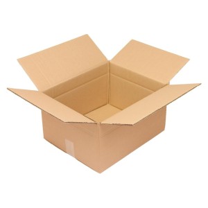 No Name - Cutie carton ondulat, 2 straturi, VE20, 400x325x213mm [4053569136273]