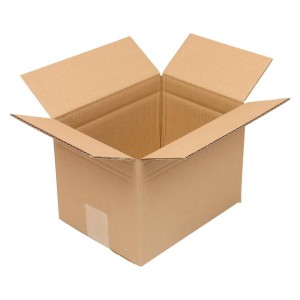 No Name - Cutie carton ondulat, 2 straturi, VE40, 245x180x170mm [4053569136006]