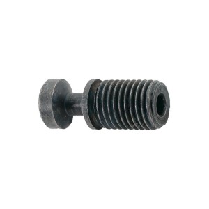 No Name - Surub metric pentru freze M5x9.8, T25 [4053569834759]
