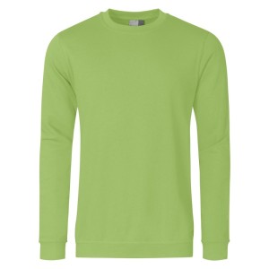 promodoro - Bluza 2199, verde, mas. L [2199F-WL-L]